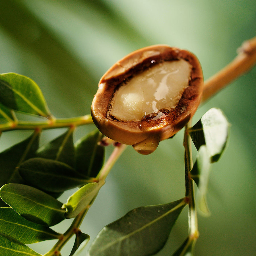 Argan Oil